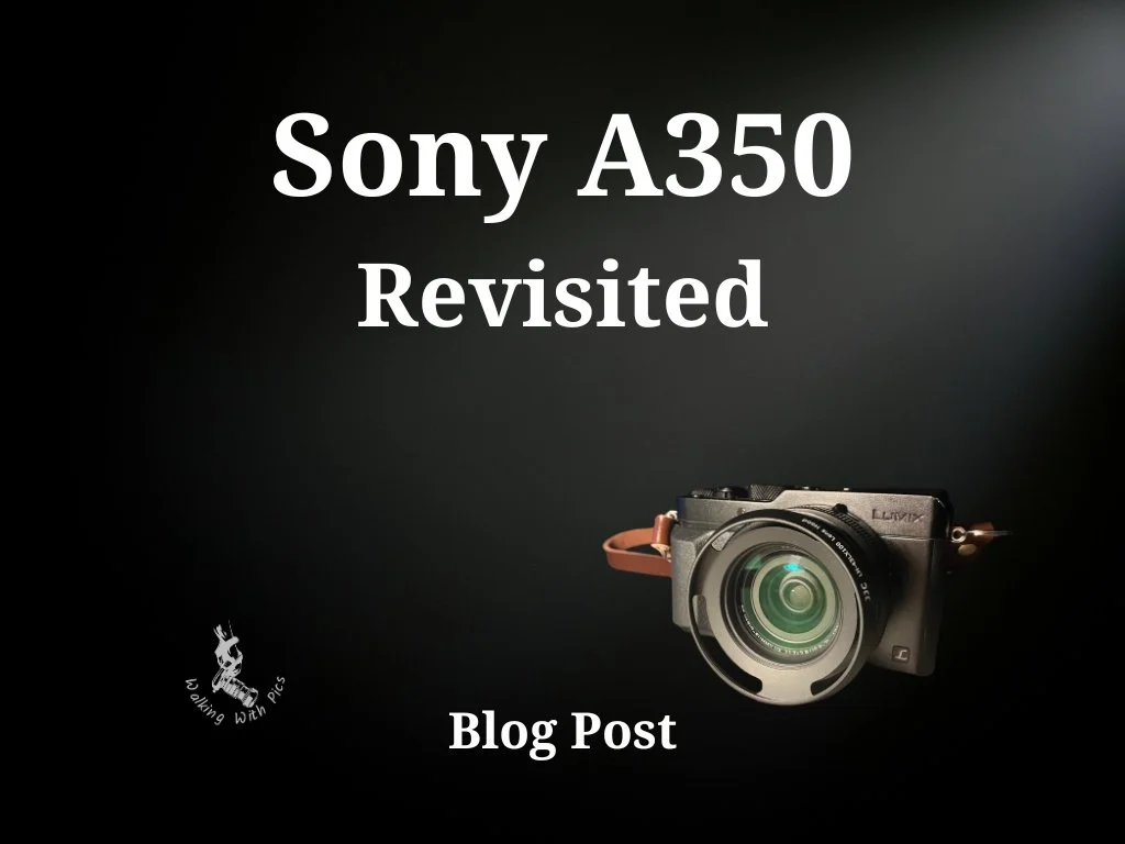 Sony A350 Revisited: The CCD Look — Walking With Pics